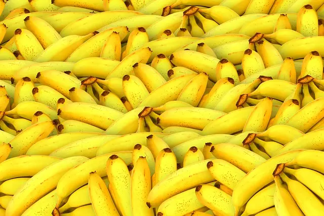 bananas-fruits-yellow-2512281766935956..webp