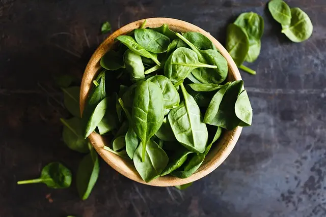 topview-basil-herbs-2512281766935955..webp